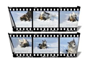 Tango Fun in the snow