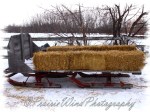 PWP Sleigh Ride0001