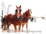 PWP Sleigh Ride0007