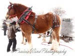 PWP Sleigh Ride0008