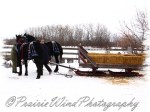 PWP Sleigh Ride0010