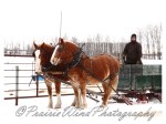 PWP Sleigh Ride0012