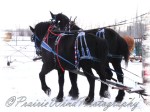 PWP Sleigh Ride0014