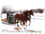 PWP Sleigh Ride0018