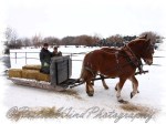 PWP Sleigh Ride0019