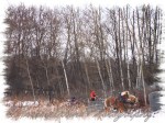 PWP Sleigh Ride0038