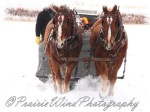 PWP Sleigh Ride0056