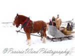 PWP Sleigh Ride0064