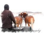 PWP Sleigh Ride0065