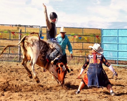 IMG_4579 draft finish