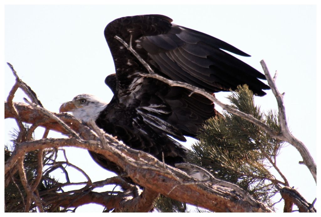 This image has an empty alt attribute; its file name is img_2121.jpg