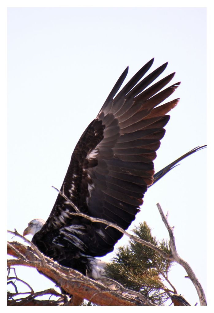 This image has an empty alt attribute; its file name is img_2122.jpg