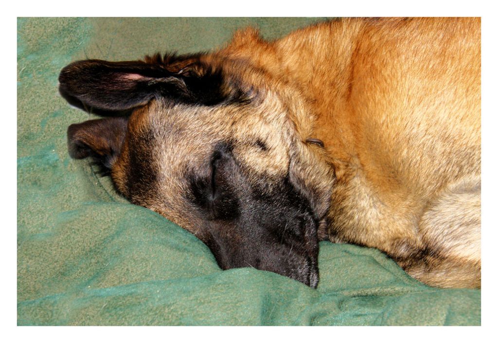 This image has an empty alt attribute; its file name is img_2142.jpg