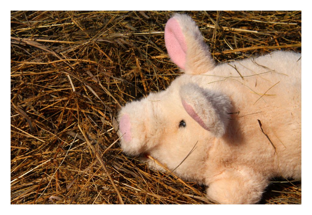 This image has an empty alt attribute; its file name is img_2153.jpg